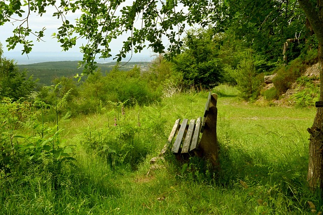 战略与哈登 战略与哈登