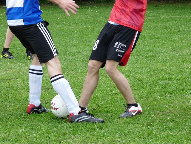 性的环境 性的环境